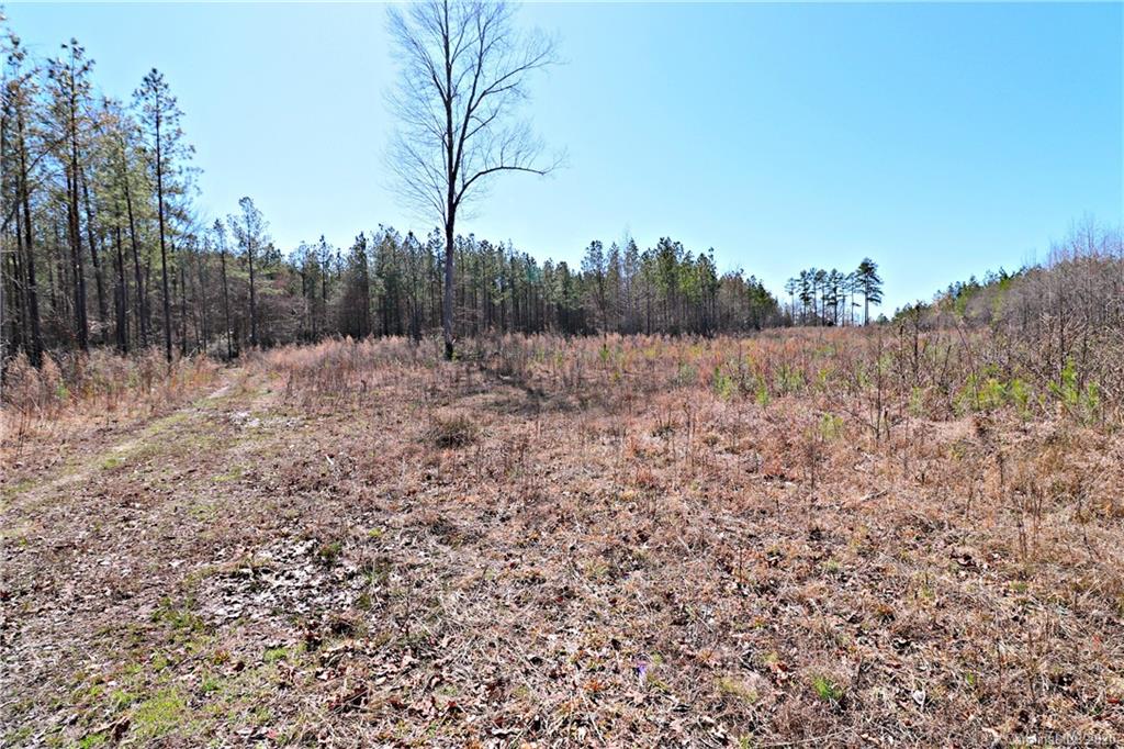 6701 Mt Pleasant Road South Concord, NC 28025 - Photo 2 of 8 Gallery Image 2
