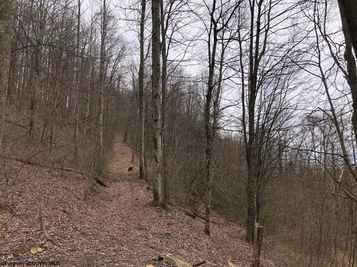 241 Rocky Ridge Hacker Valley, WV 26222 - Photo 27 of 30 Gallery Image 27