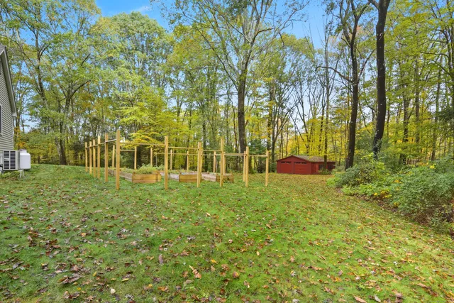 a view of a park with large trees