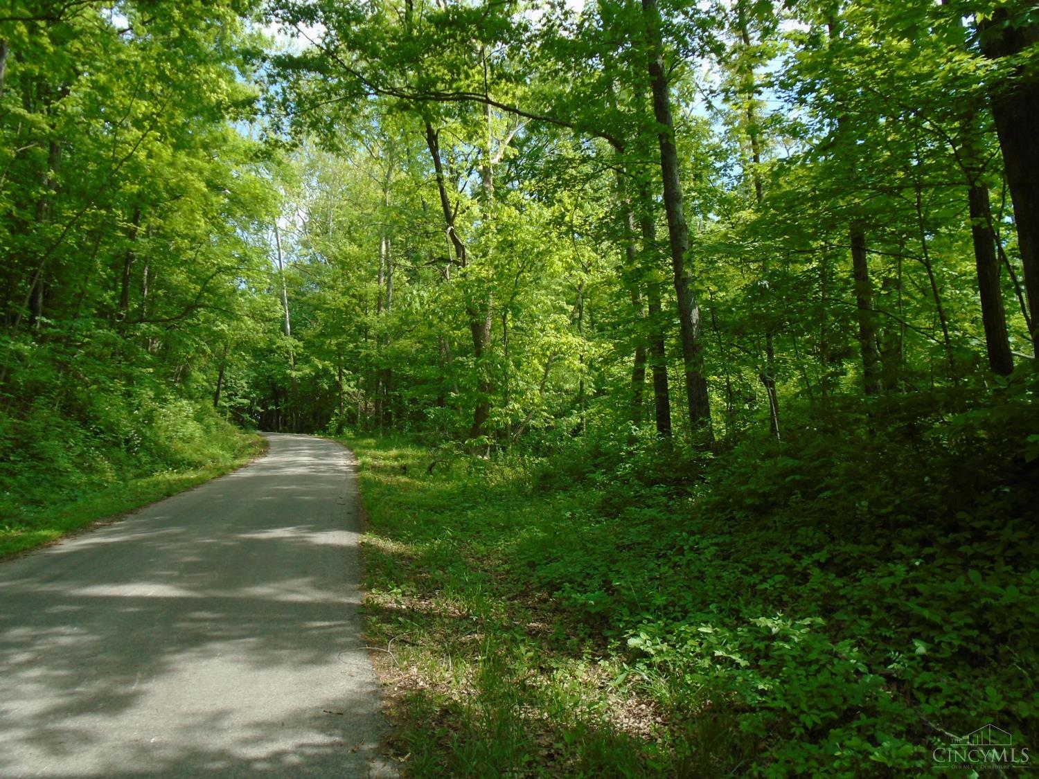 0 Rischforth Road Georgetown, OH 45121 - Photo 5 of 11