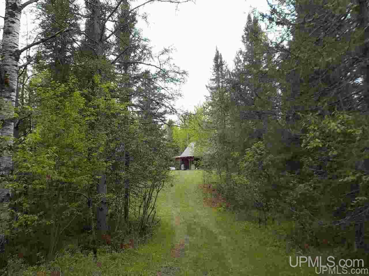 40-ac Bone Lake Road Crystal Falls, MI 49920 - Photo 8 of 36 Gallery Image 8
