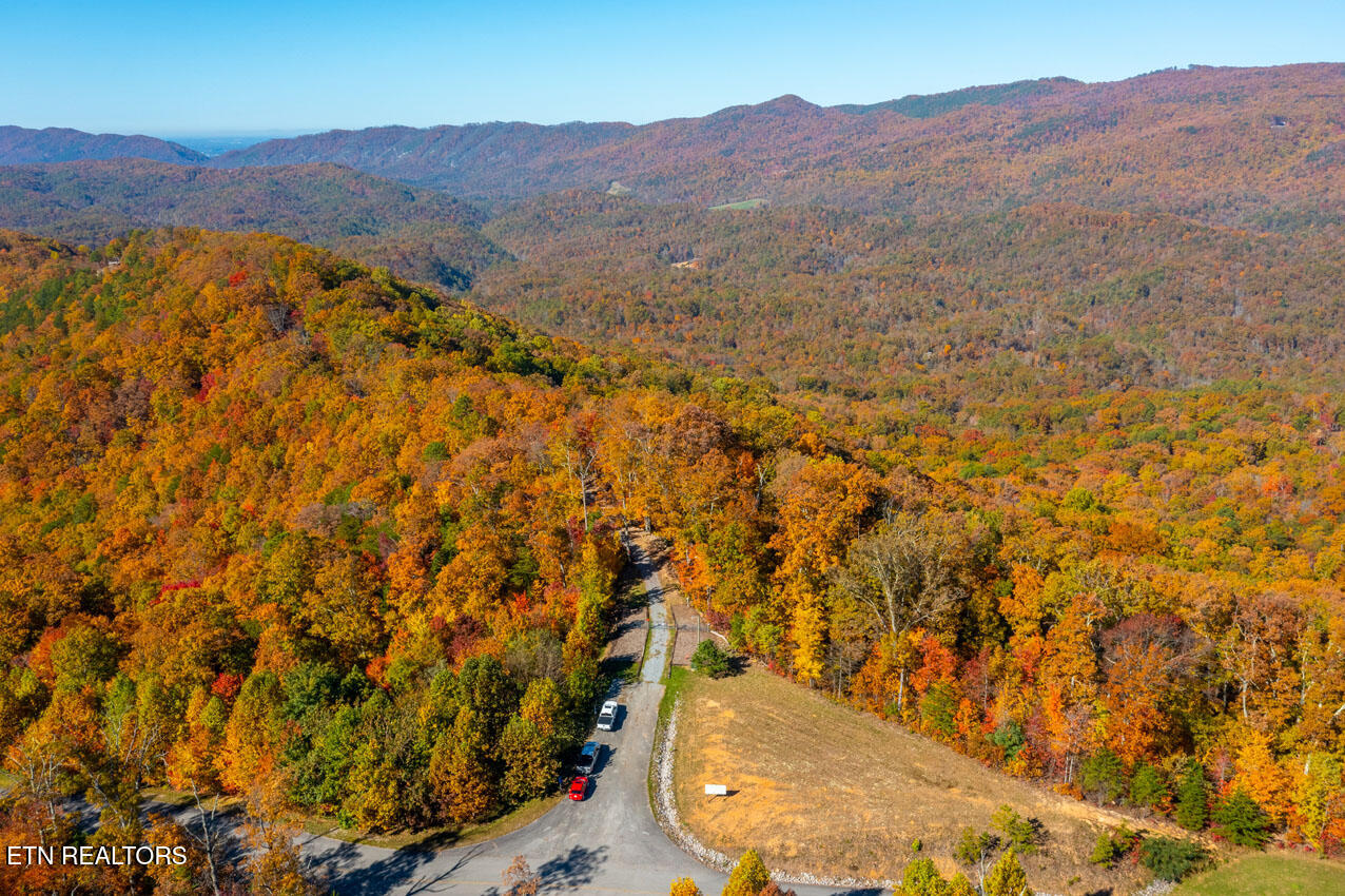 4903 Long Rifle Road Walland, TN 37886 - Photo 16 of 28 Long Rifle Rd access to Blackberry