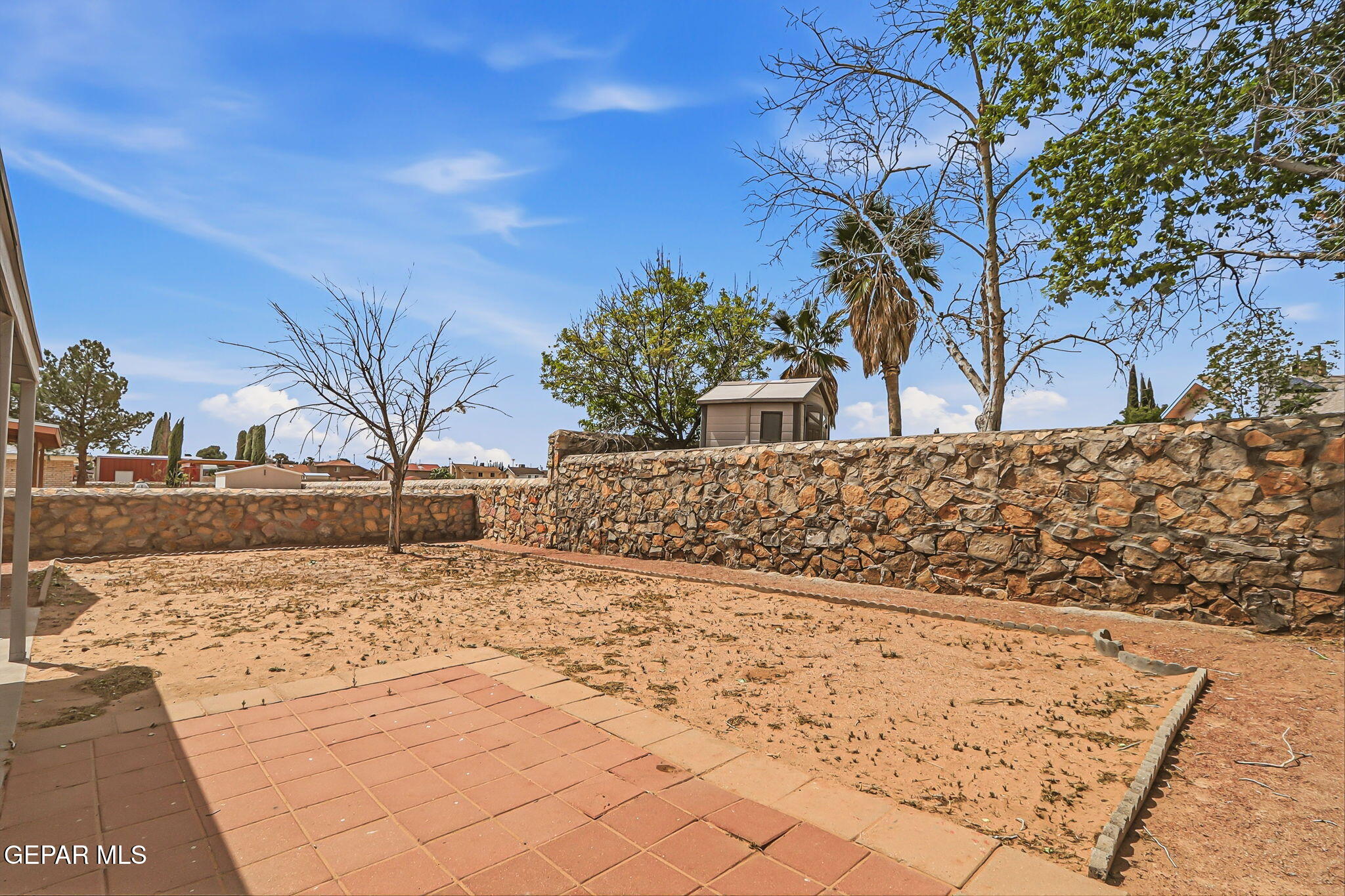1767 Painted Quail Place El Paso, TX 79936 - Photo 13 of 13 a view of a yard with trees