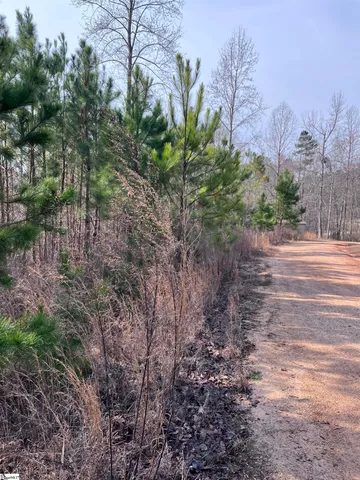 $49,500 | 0 South Lakeview Drive, Unit LOT 23, Fair Play, SC 29643