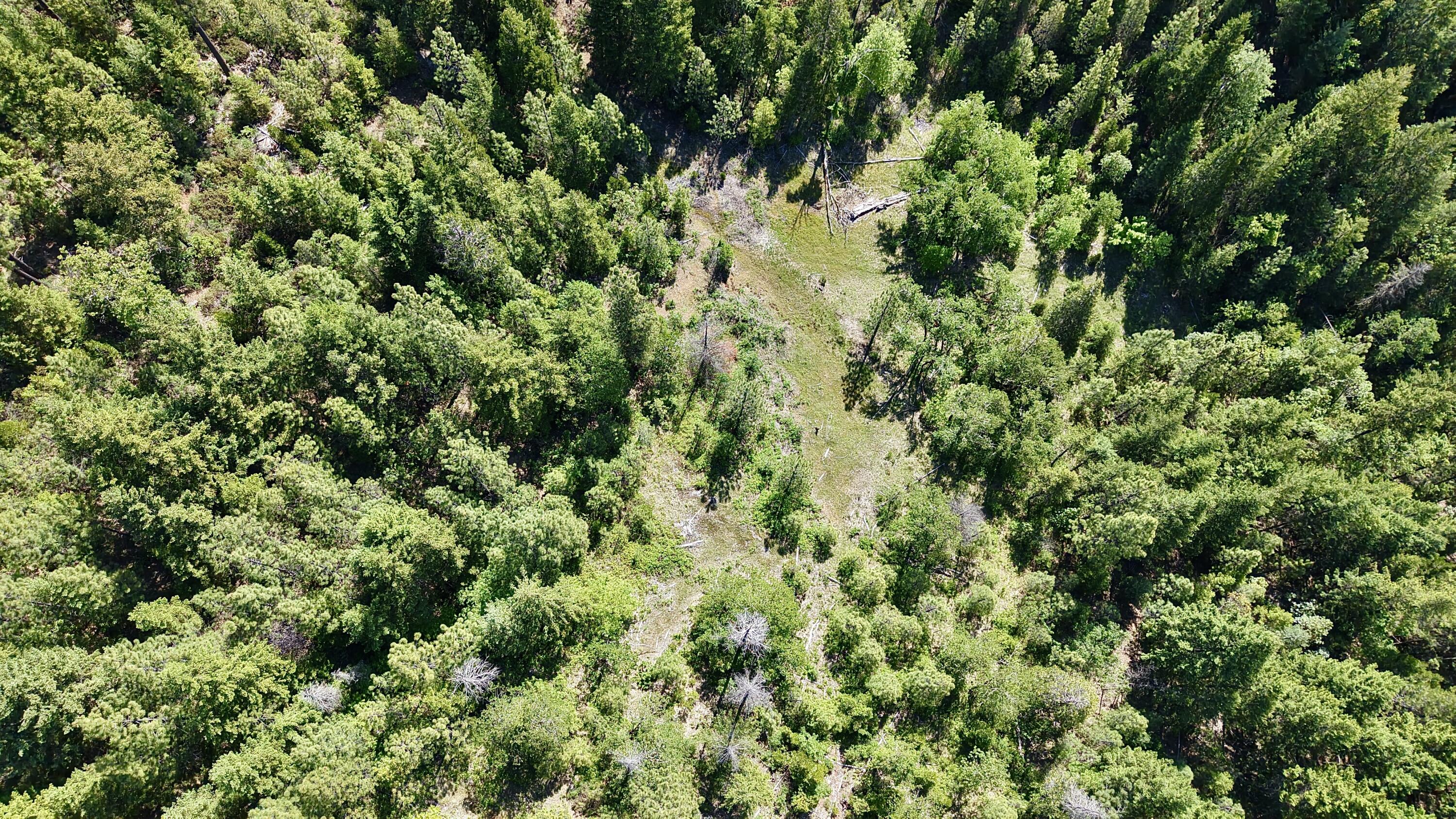 Ulrich Road Prospect, OR 97536 - Photo 11 of 14 Aerial