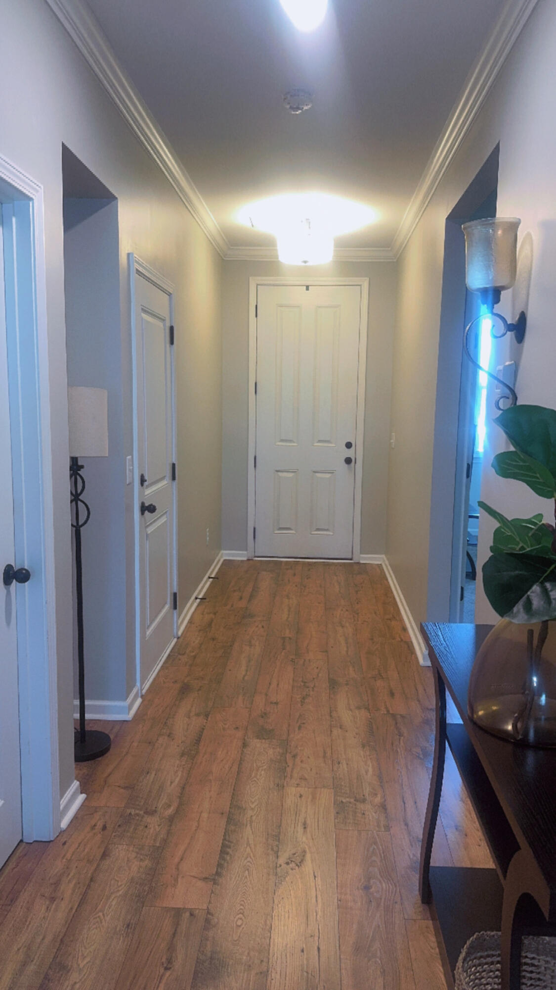 135 Long Trail Way Moncks Corner, SC 29461 - Photo 8 of 29 IMG_9892