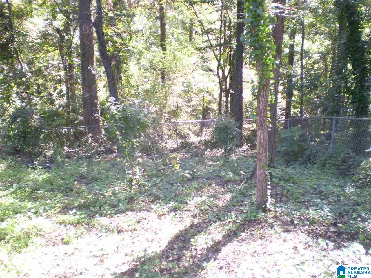 208 26th Avenue Northeast Center Point, AL 35215 - Photo 11 of 50