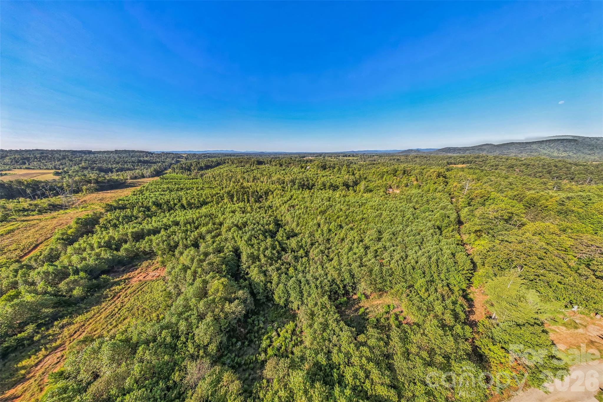 307 Rc Road Traphill, NC 28685 - Photo 2 of 15 Gallery Image 2
