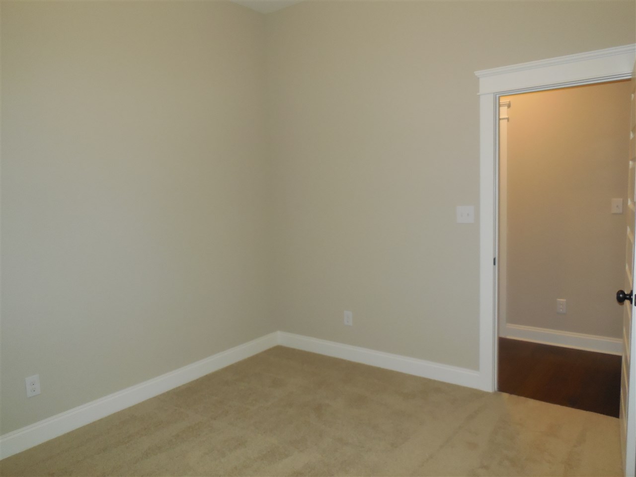 24803 Austin Road Daphne, AL 36526 - Photo 11 of 17