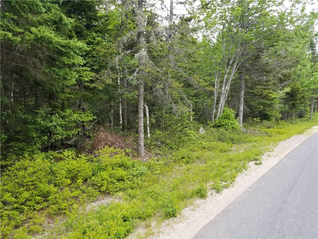 Tbd Pigeon Hill Road Steuben, ME 04680 - Photo 1 of 6 Nice mixture of hard and softwood trees!