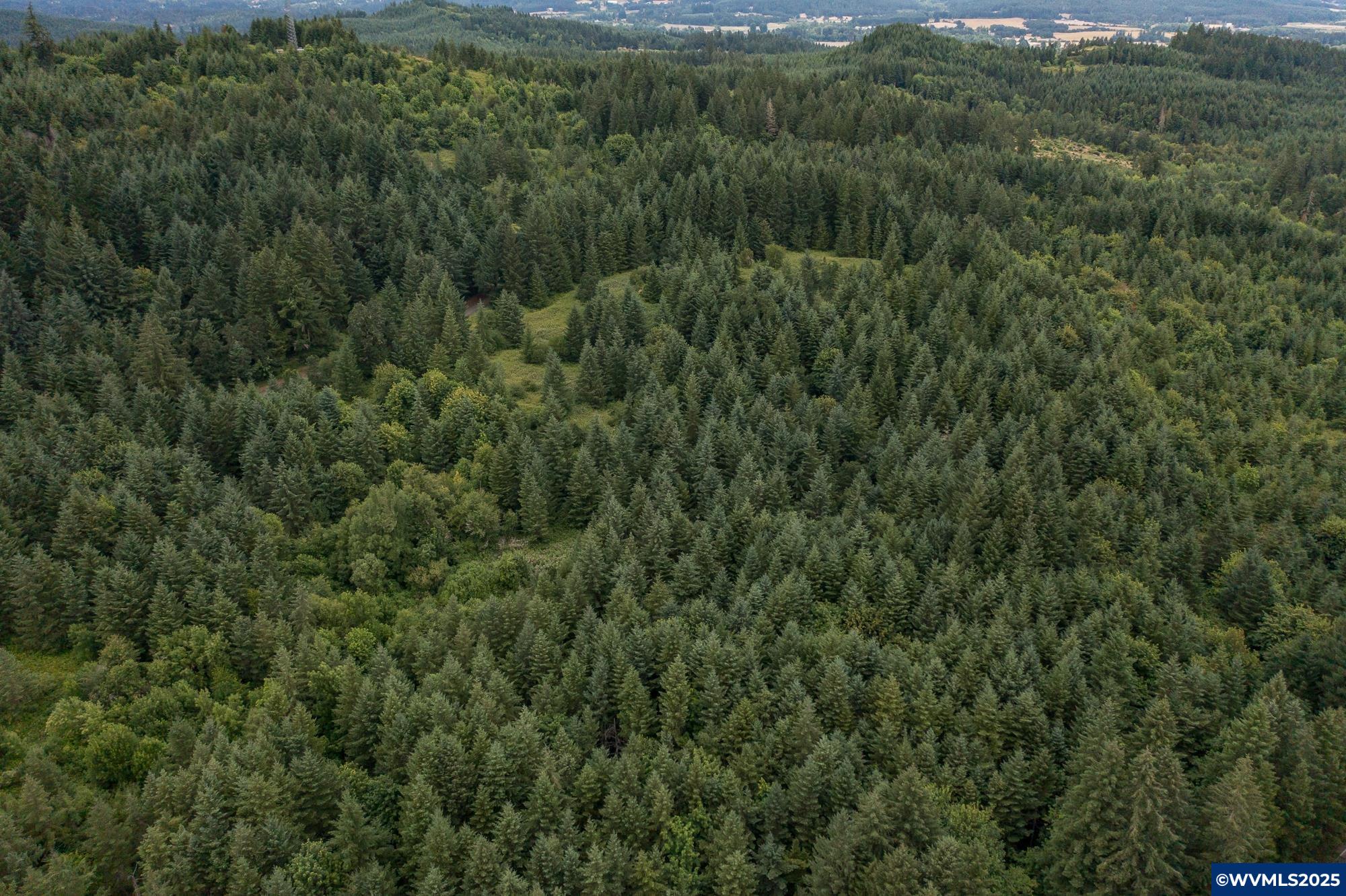Mctimmonds Road Dallas, OR 97338 - Photo 6 of 20