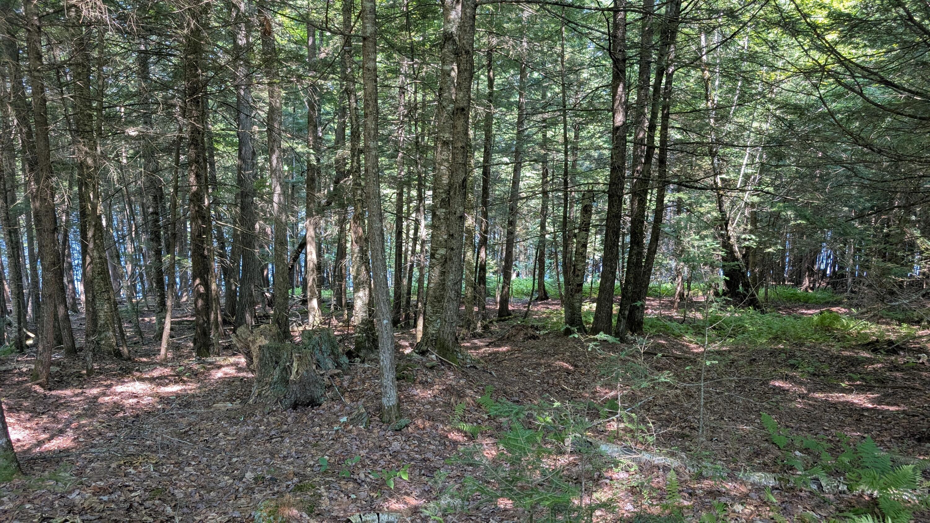 Lot #8 Kolm Road Garland, ME 04939 - Photo 2 of 4 1000011009