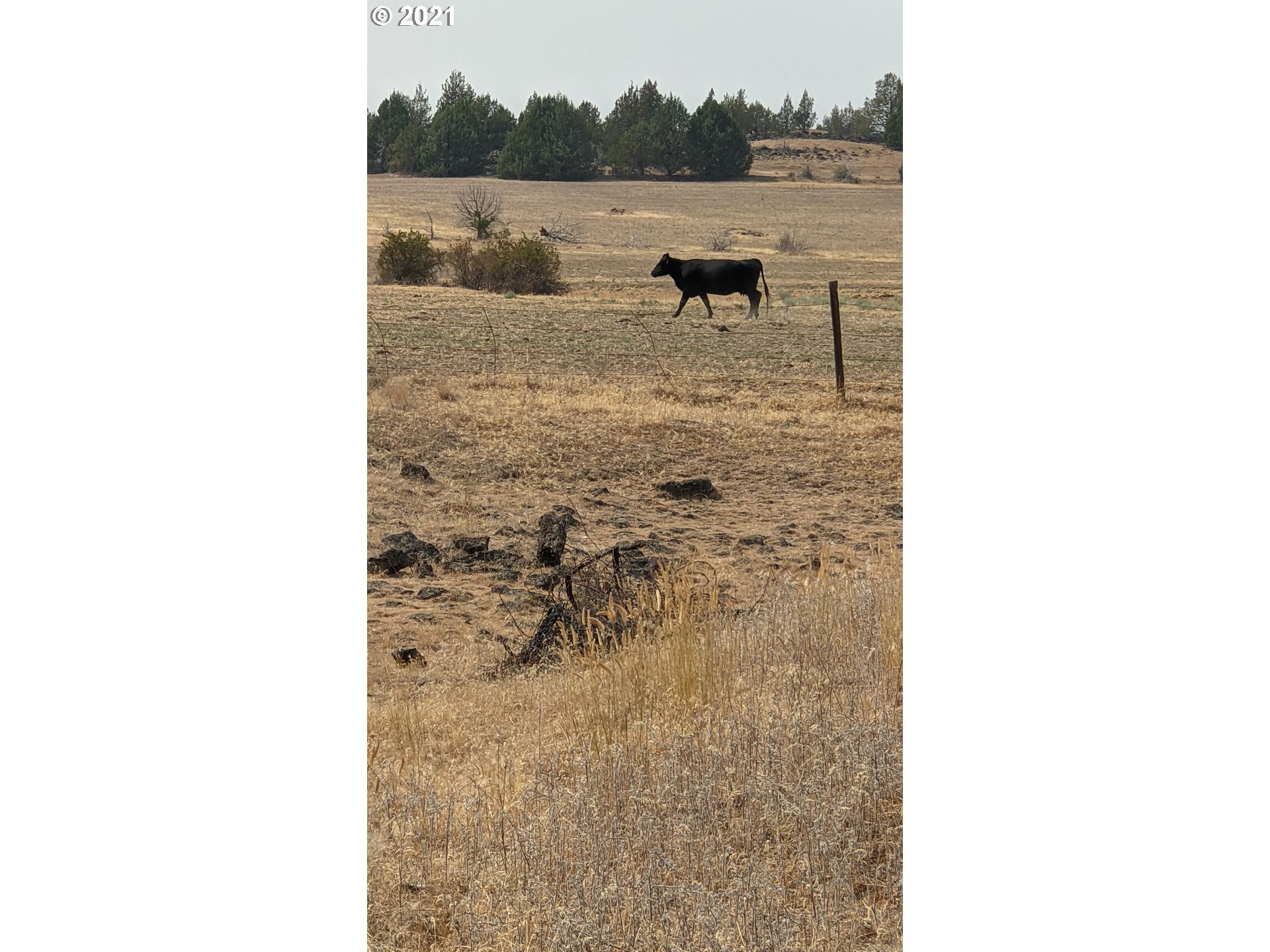 53360 Delore Road Maupin, OR 97037 - Photo 23 of 26 Gallery Image 23