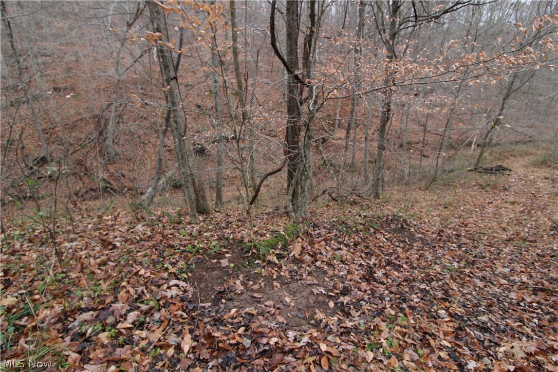 Wilson Run Road New Matamoras, OH 45767 - Photo 30 of 34 Gallery Image 30