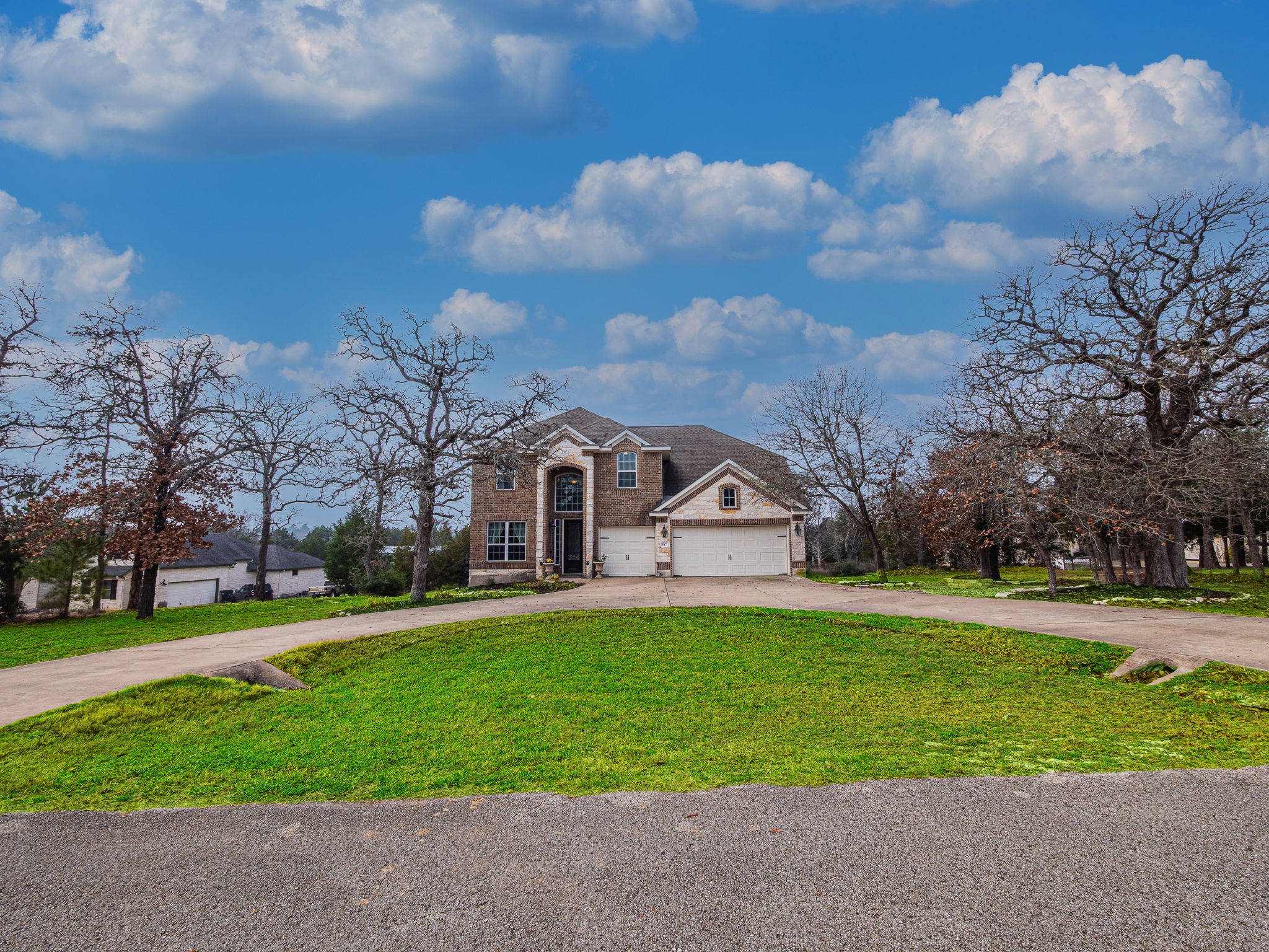 117 Arbor Point Drive Elgin, TX 78621 - Photo 5 of 40 Traditional-style home featuring curved driveway, brick siding, a garage, and a front yard