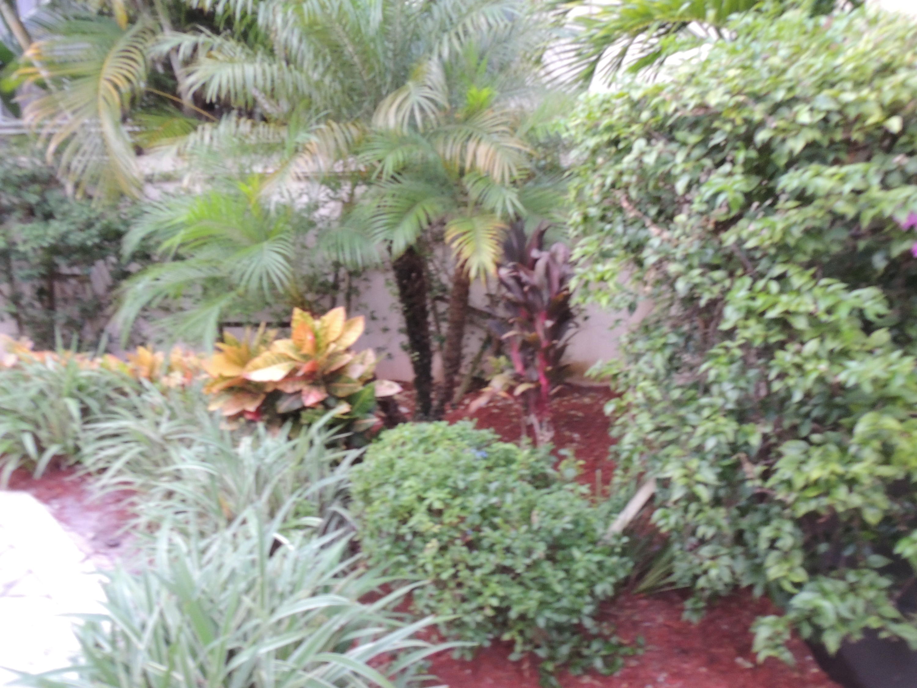 4281 Northwest 63rd Place Boca Raton, FL 33496 - Photo 40 of 44 BEAUTIFUL GARDEN VIEW