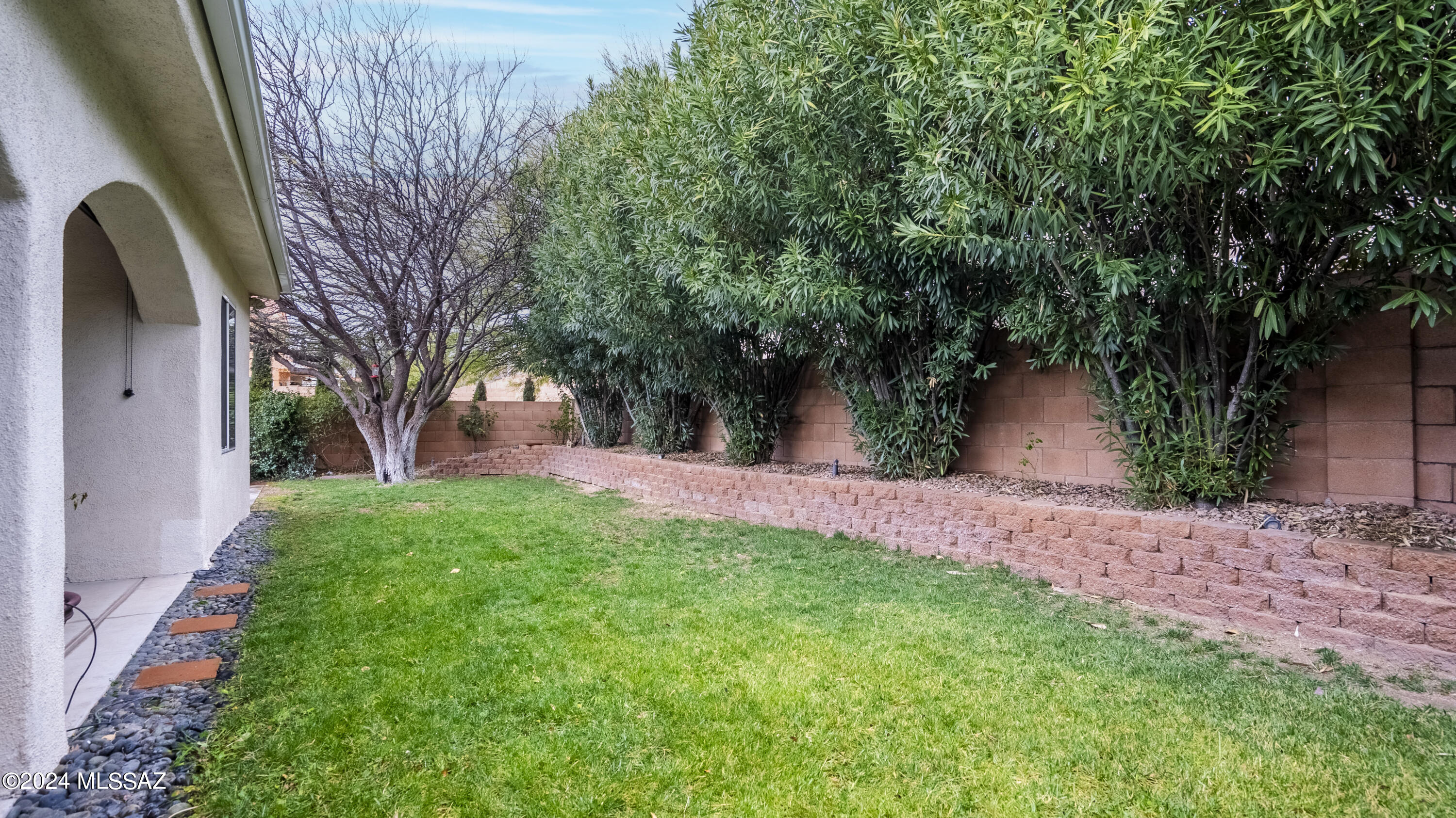 374 Via Capri Rio Rico, AZ 85648 - Photo 9 of 30 a view of a yard with plants and a large tree