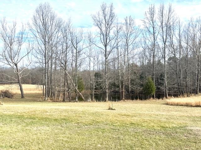 955 Martin Mill Road Puryear, TN 38251 - Photo 50 of 55 a house view with swimming pool in front