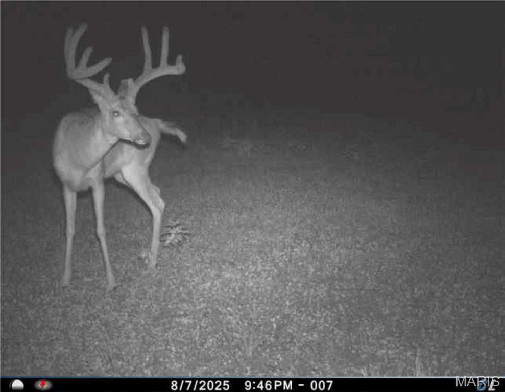 0 Abram Road Hartville, MO 65667 - Photo 94 of 97