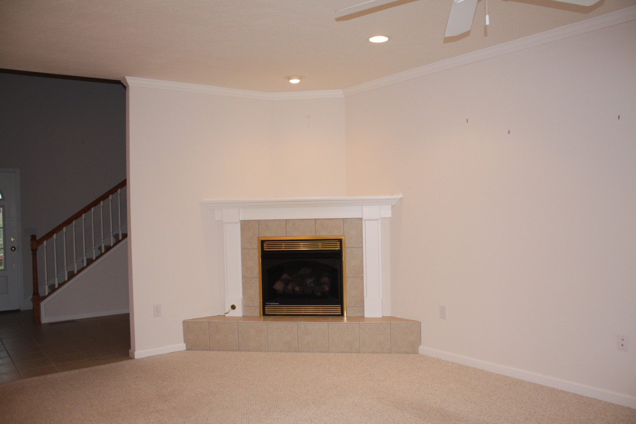 3335 Torrey Pines Circle Riner, VA 24149 - Photo 2 of 19 Smith-Torrey Pines 009 corner fireplace