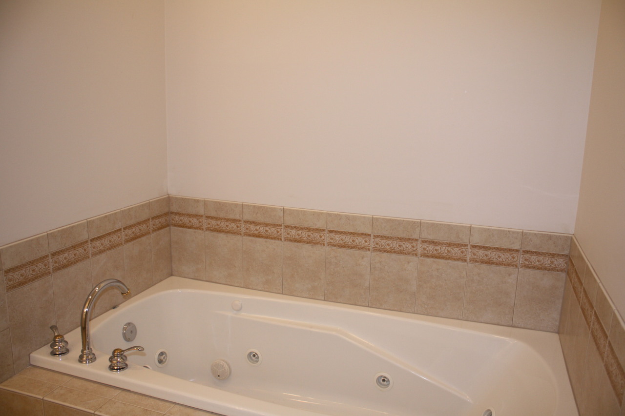 3335 Torrey Pines Circle Riner, VA 24149 - Photo 5 of 19 Smith-master bath view 3Torrey Pines 032