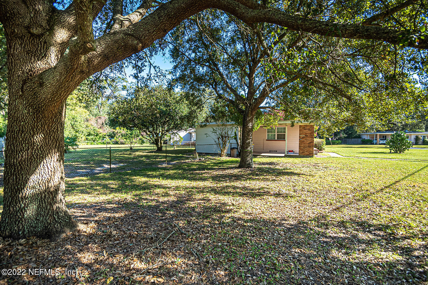 2445 Community Road Jacksonville, FL 32207 - Photo 34 of 42 a view of a yard with a tree