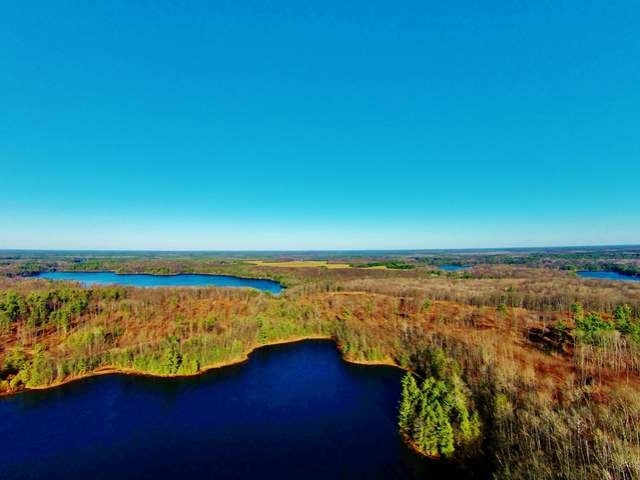 254-acres Kaubashine Road Hazelhurst, WI 54531 - Photo 69 of 78 Gallery Image 69