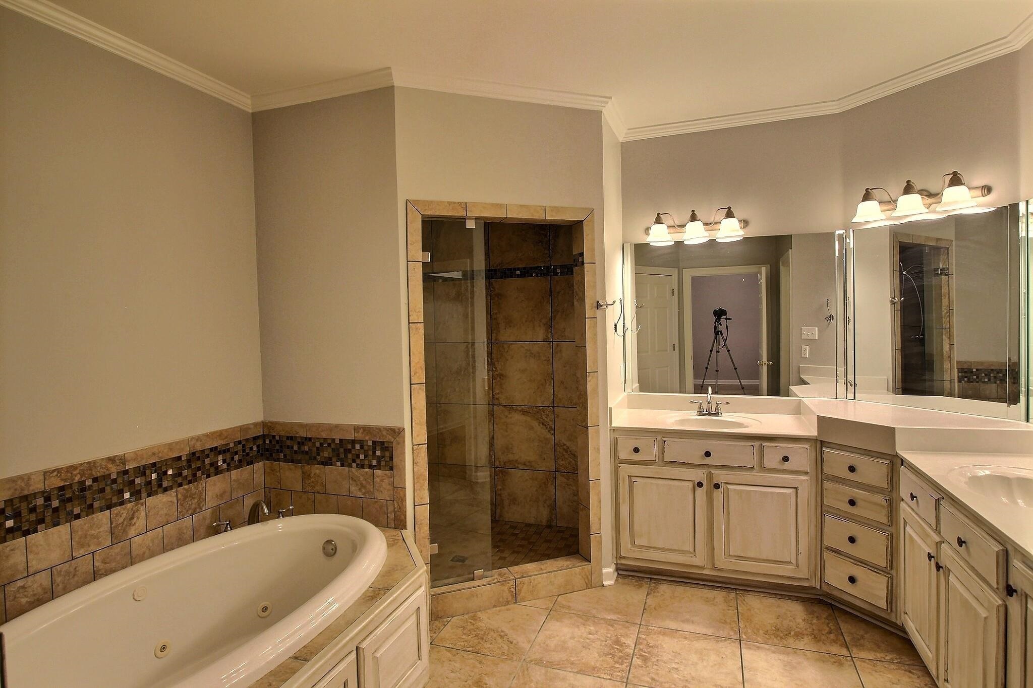 255 Ellawood Lane Collierville, TN 38017 - Photo 20 of 38 a bathroom with a bathtub and a sink