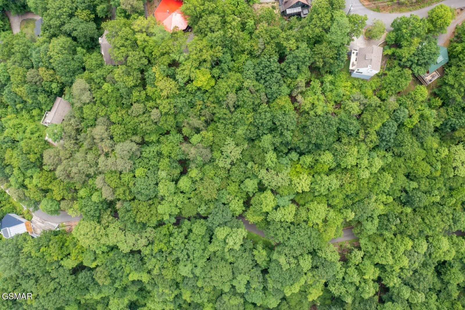 11 Zurich Road Gatlinburg, TN 37738 - Photo 4 of 14