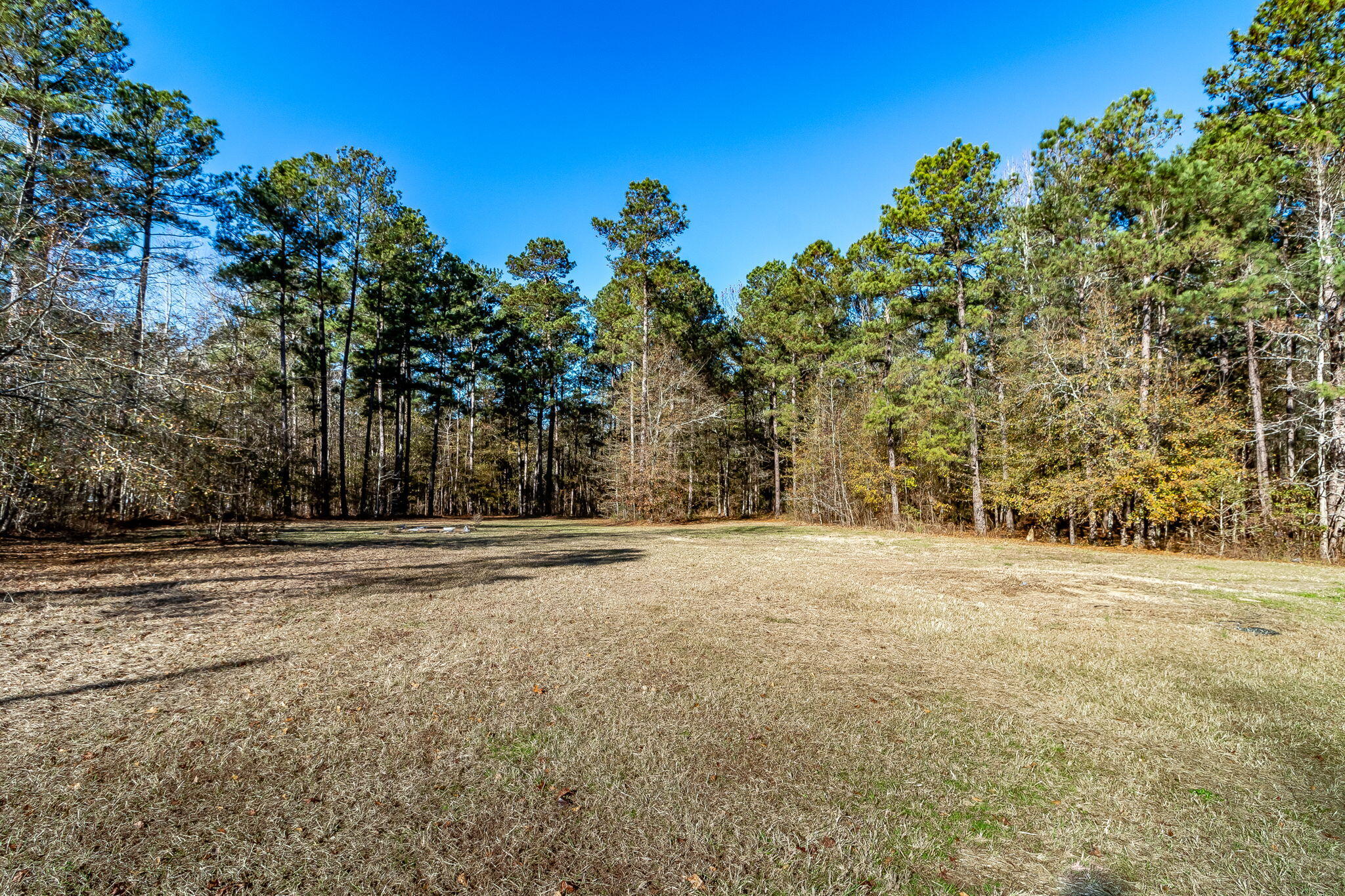 628 Byrd Road Harlem, GA 30814 - Photo 45 of 50 47-web-or-mls-628 BYRD RD. ©-3510