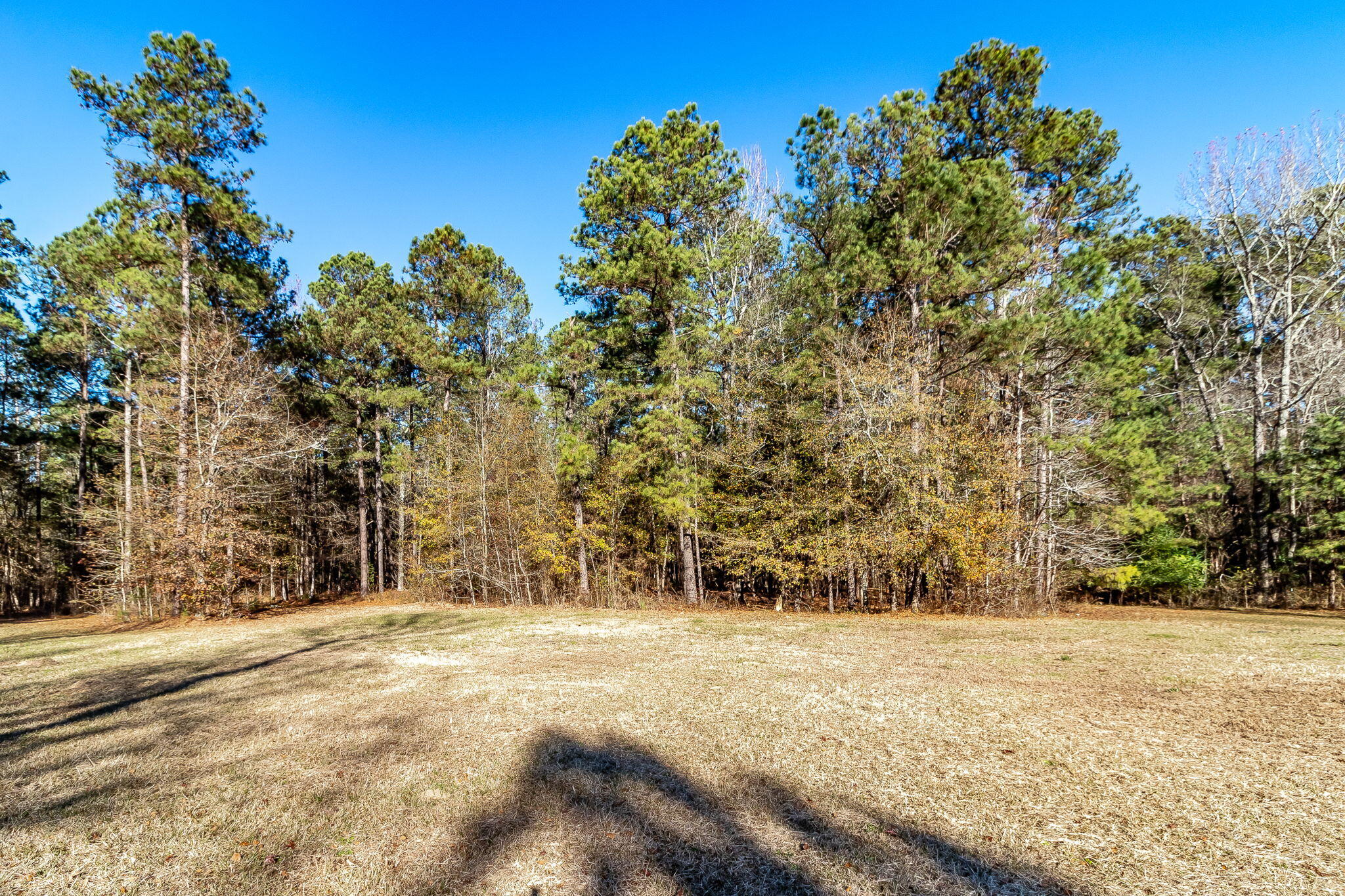 628 Byrd Road Harlem, GA 30814 - Photo 47 of 50 49-web-or-mls-628 BYRD RD. ©-3515