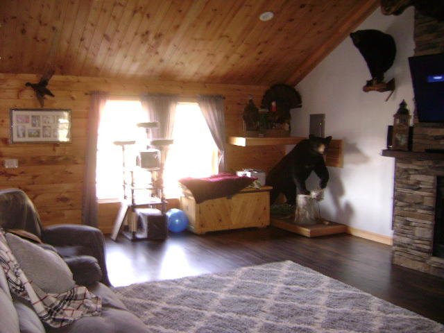 372 Hankerson Road Augusta, ME 04330 - Photo 22 of 32 372 Hankerson Rd Chelsea 075