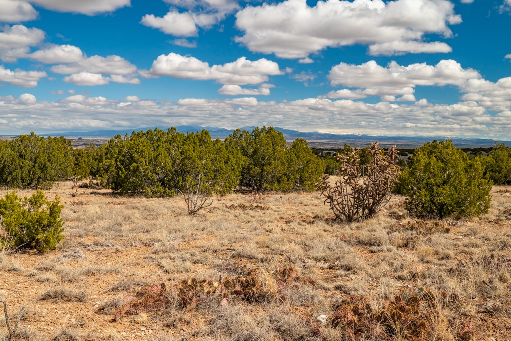 Tbd Hanuman Road Cerrillos, NM 87010 - Photo 24 of 33