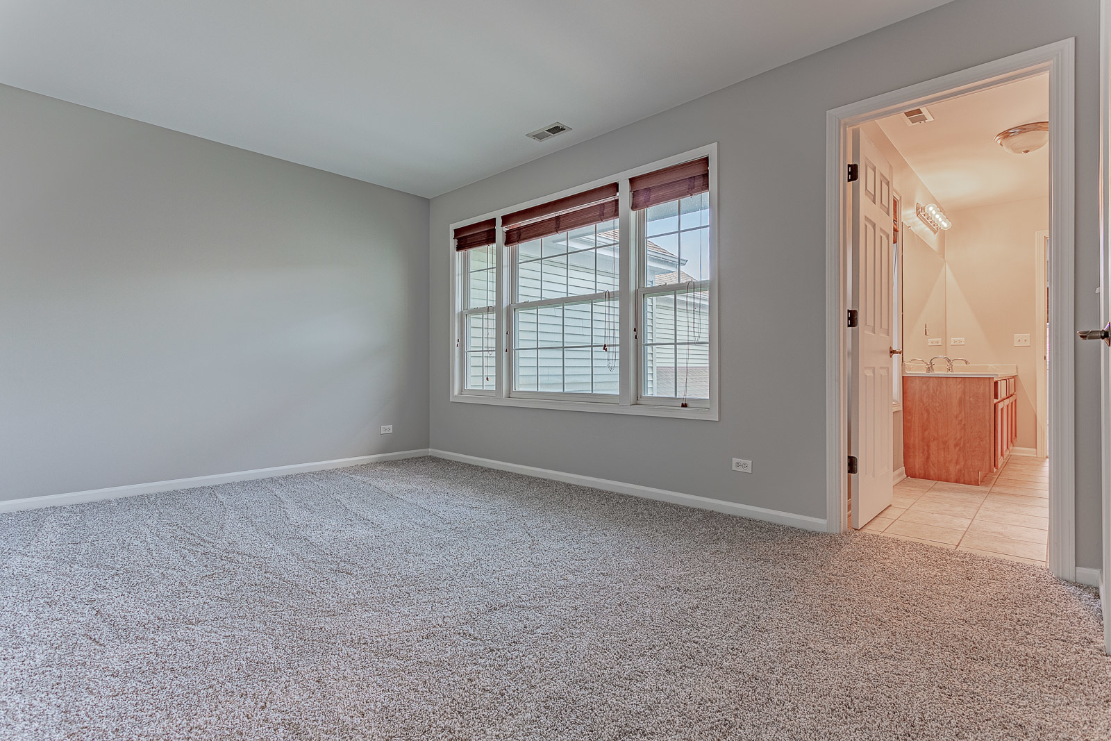 1036 Hummingbird Way Bartlett, IL 60103 - Photo 22 of 40
