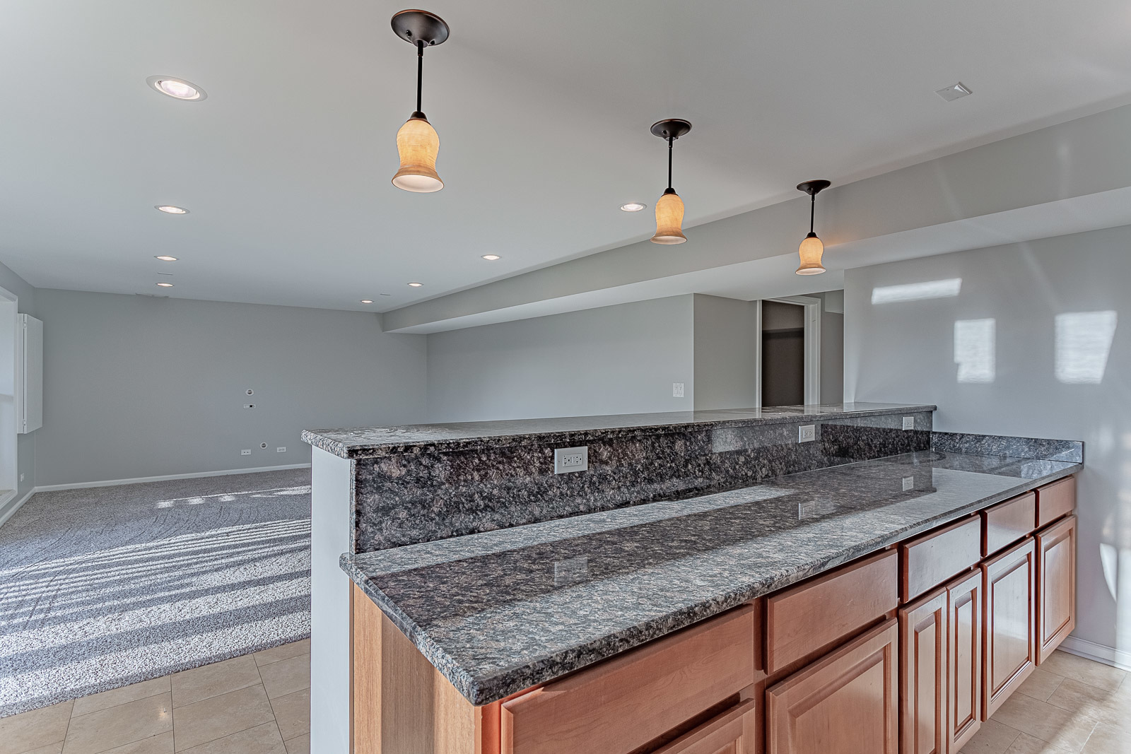 1036 Hummingbird Way Bartlett, IL 60103 - Photo 31 of 40