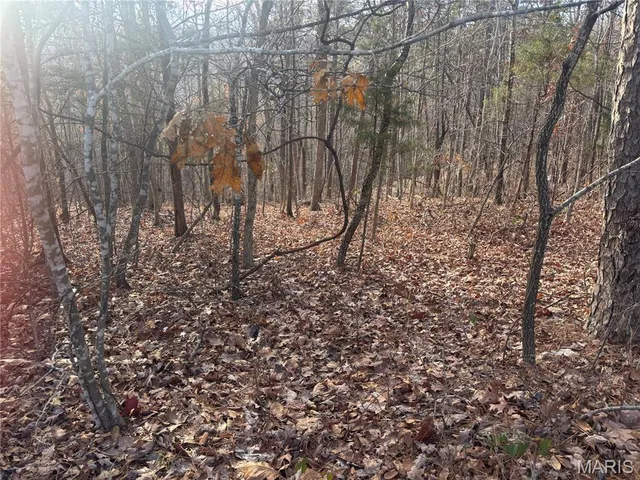 $44,900 | 4944 Hwy C, Fredericktown, MO 63645