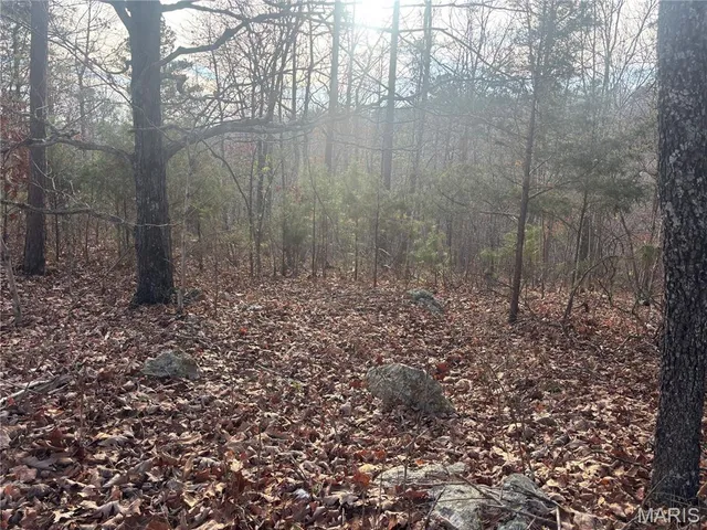 $44,900 | 4944 Hwy C, Fredericktown, MO 63645