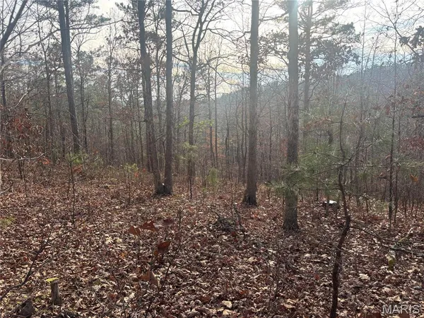 $49,900 | 4944 Hwy C, Fredericktown, MO 63645