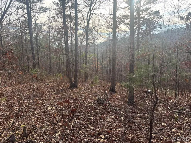 $44,900 | 4944 Hwy C, Fredericktown, MO 63645