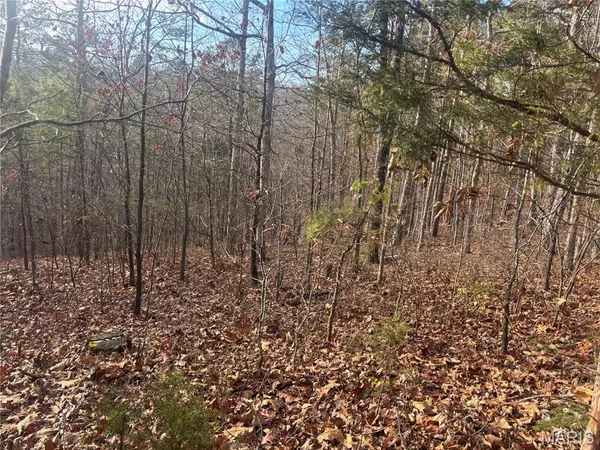 $49,900 | 4944 Hwy C, Fredericktown, MO 63645