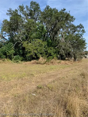a view of a yard with a tree