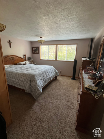 367 East Rio Grande Avenue Marysvale, UT 84750 - Photo 31 of 34 Bedroom featuring carpet floors and a textured ceiling
