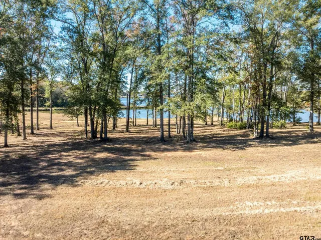 a big yard with trees in front of it