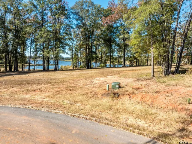 an aerial view of lake and residential houses with outdoor space