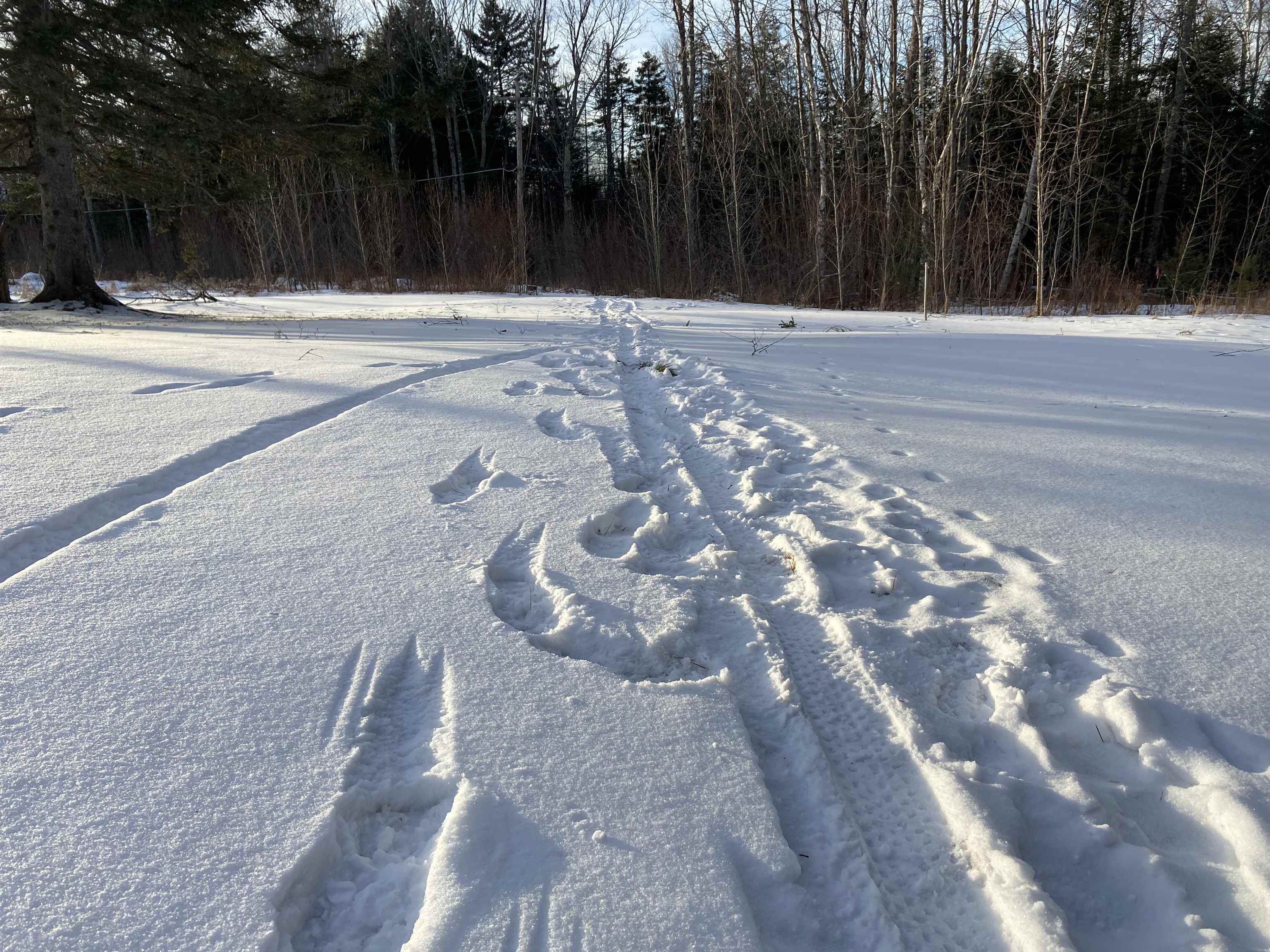 2160 Mountain Road, Unit 20 Burke, VT 05832 - Photo 5 of 20
