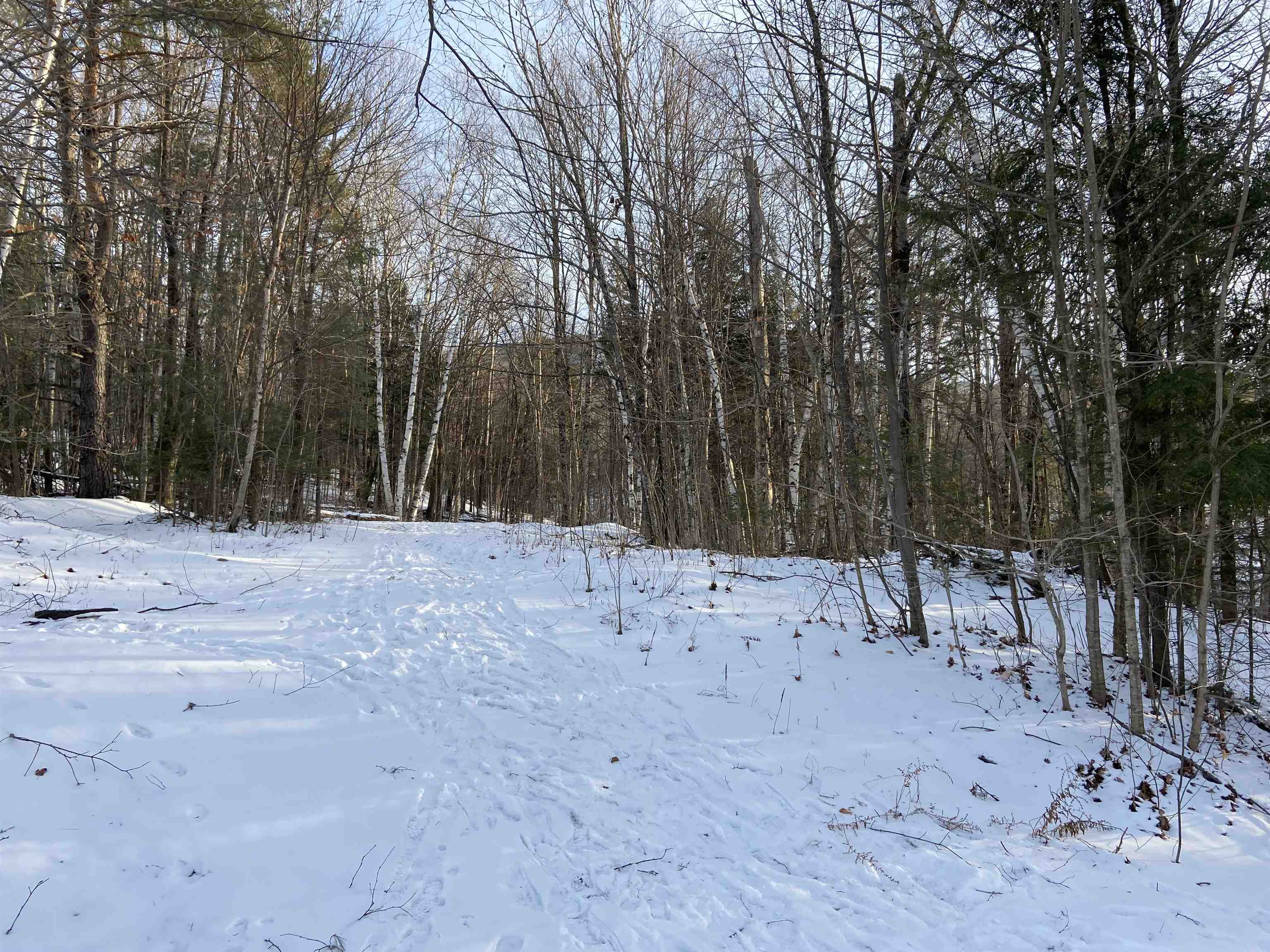 2160 Mountain Road, Unit 20 Burke, VT 05832 - Photo 6 of 20