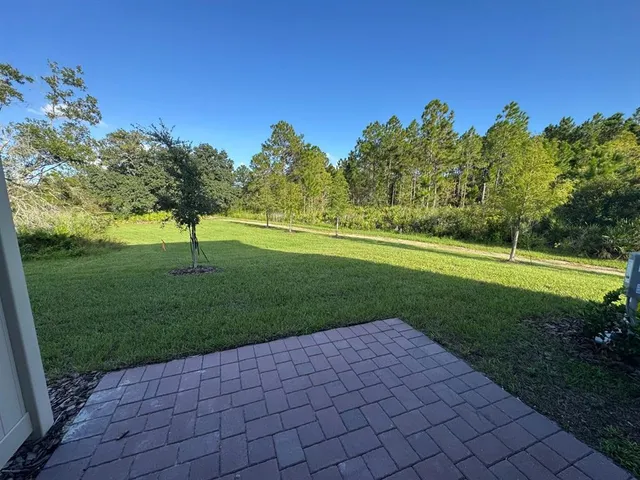 a view of a backyard