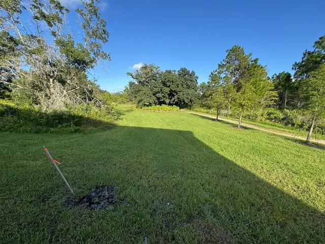 a yard with lots of green space