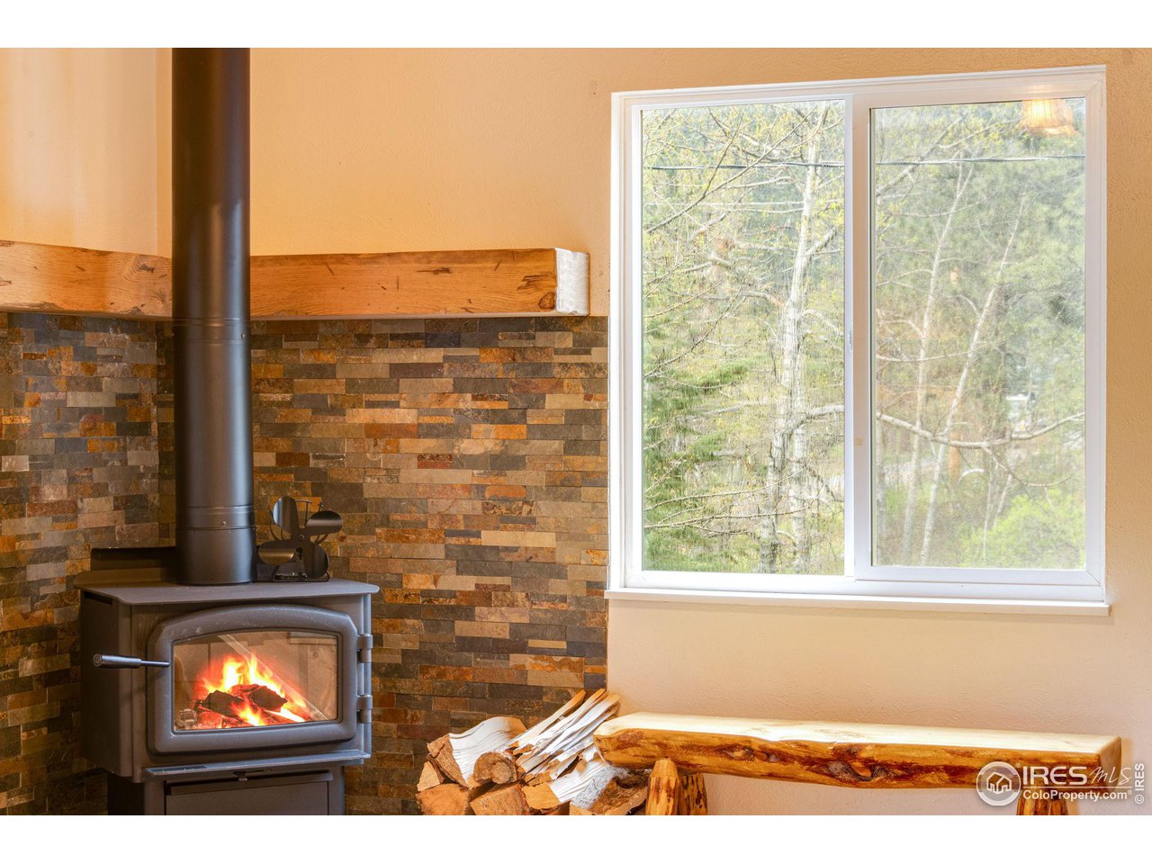 2786 Riverside Drive Lyons, CO 80540 - Photo 10 of 35