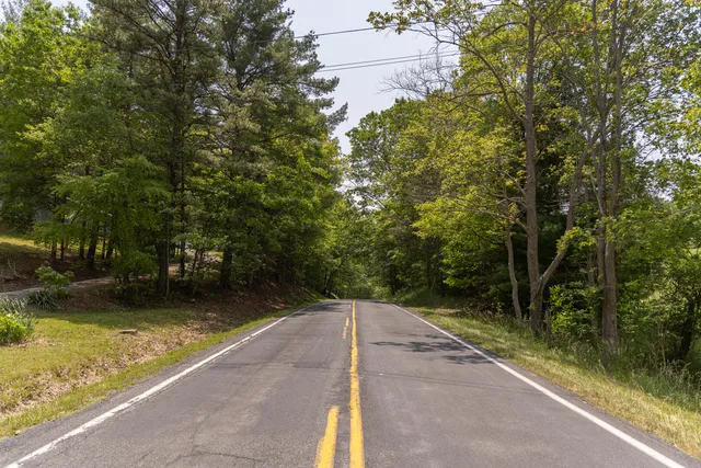 a view of a swimming pool with a backyard